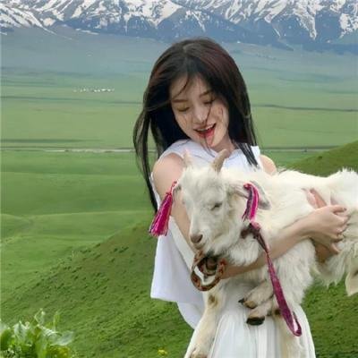 巅峰拍档第二十季