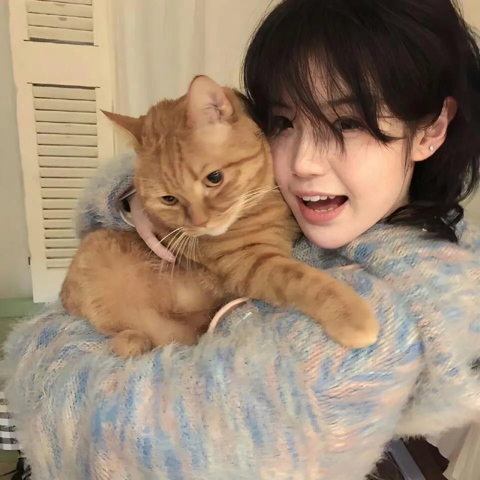 皇后娘娘，今天离婚了吗