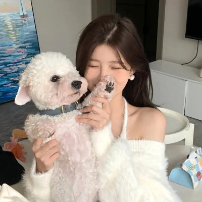 星星月亮太阳[上集]